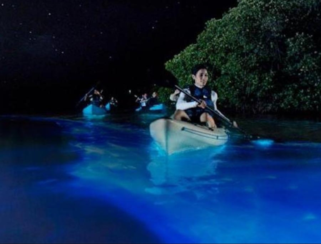 Puerto Rico Excursions Bio Bay Tours