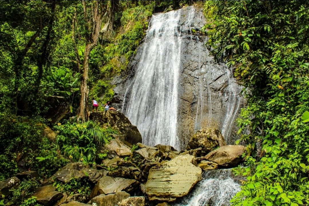 Puerto Rico Excursions El Yunque Tours